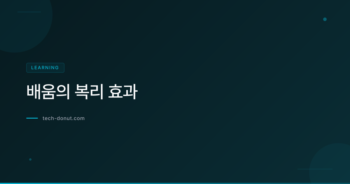 배움의 복리 효과